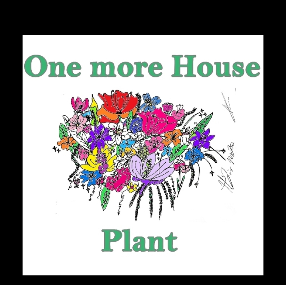 ☀ Sharing the love of Houseplants 🌱
